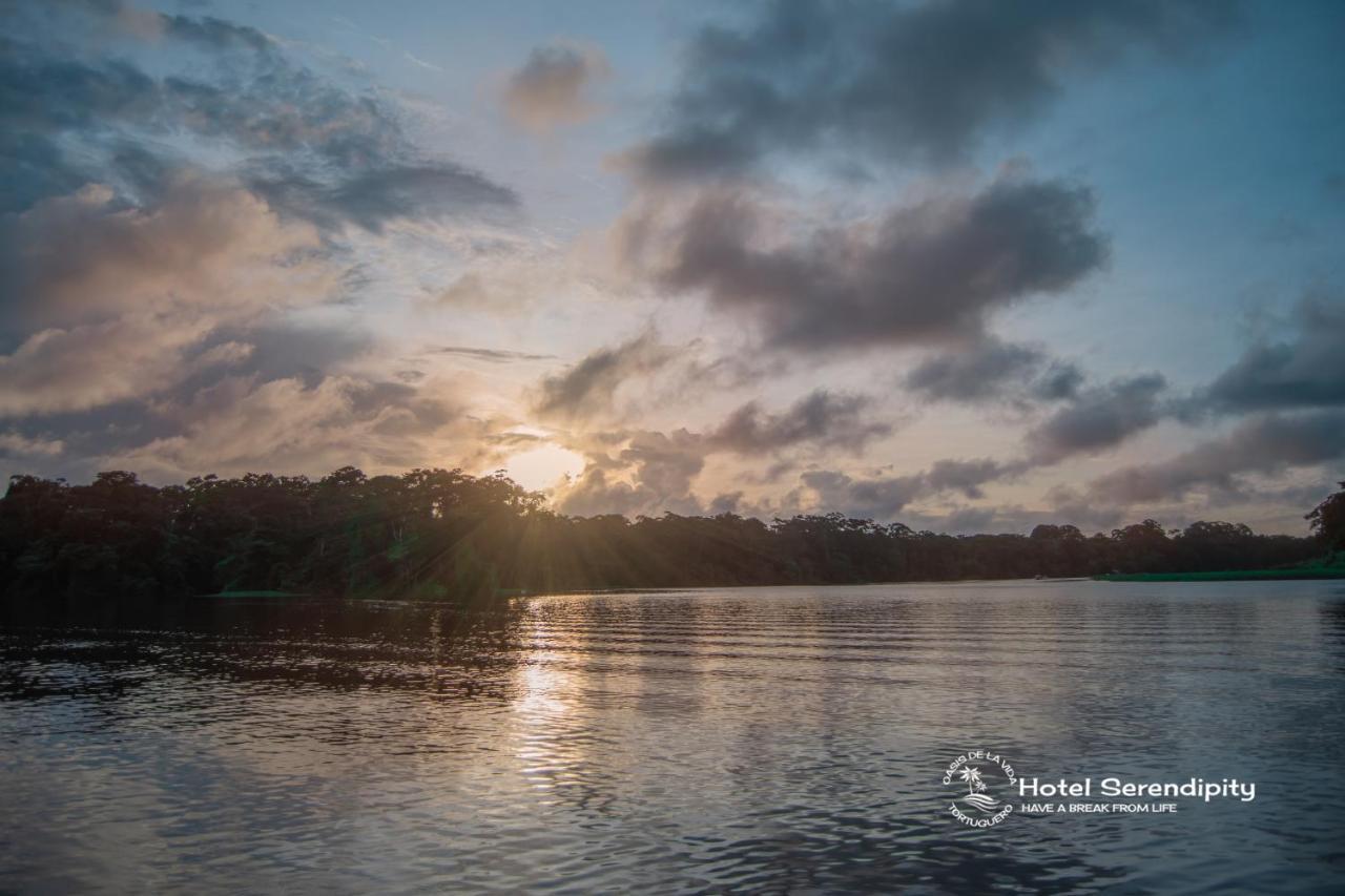 El Deseo Serendipity Tortuguero Bagian luar foto