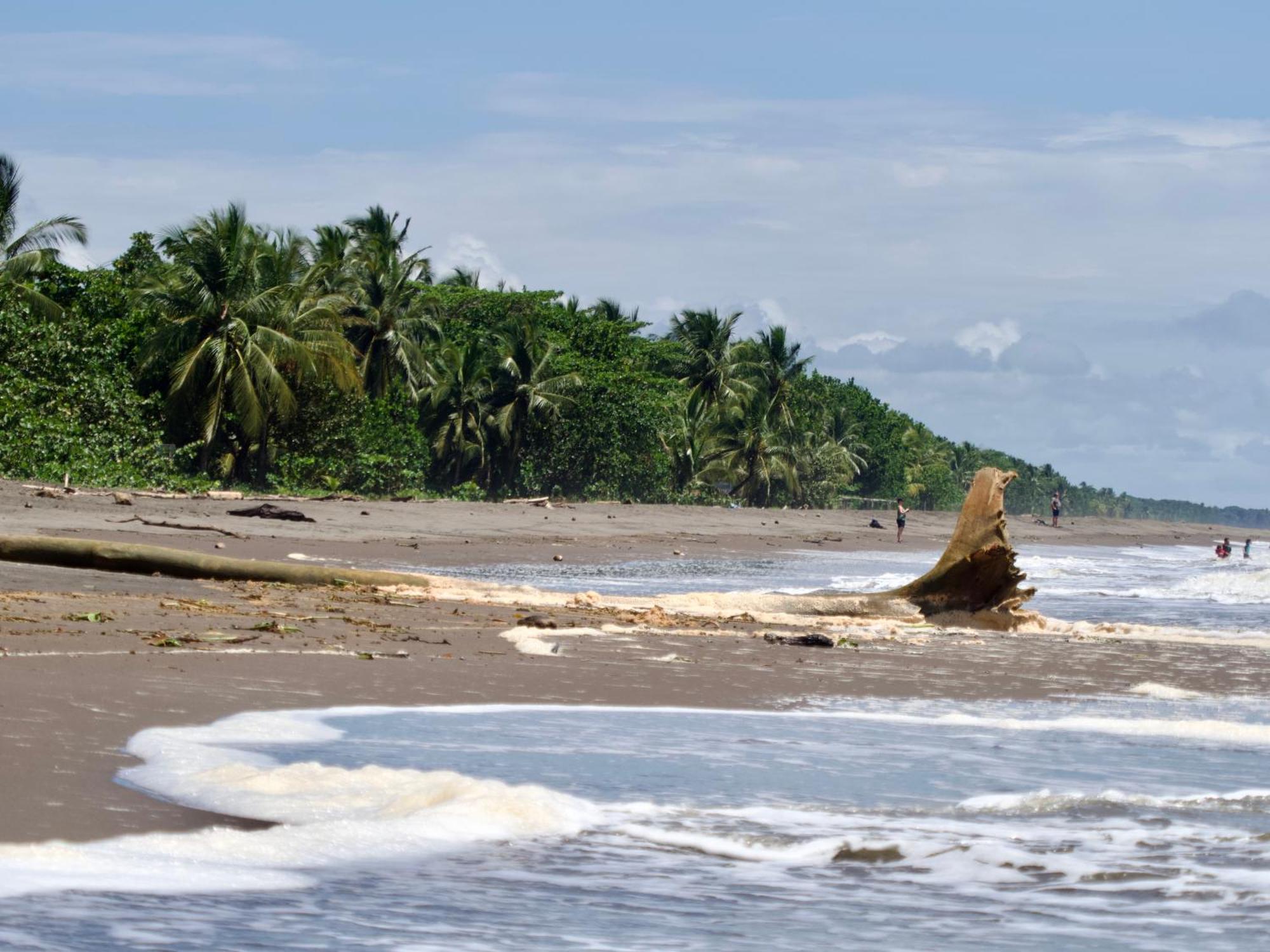 El Deseo Serendipity Tortuguero Bagian luar foto