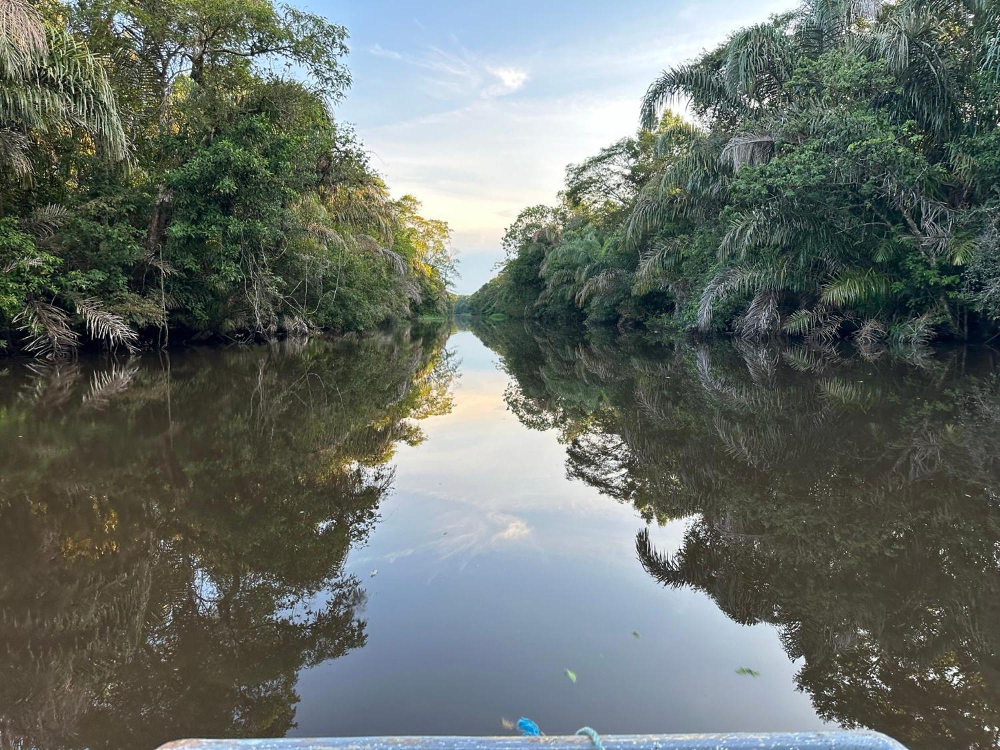 El Deseo Serendipity Tortuguero Bagian luar foto