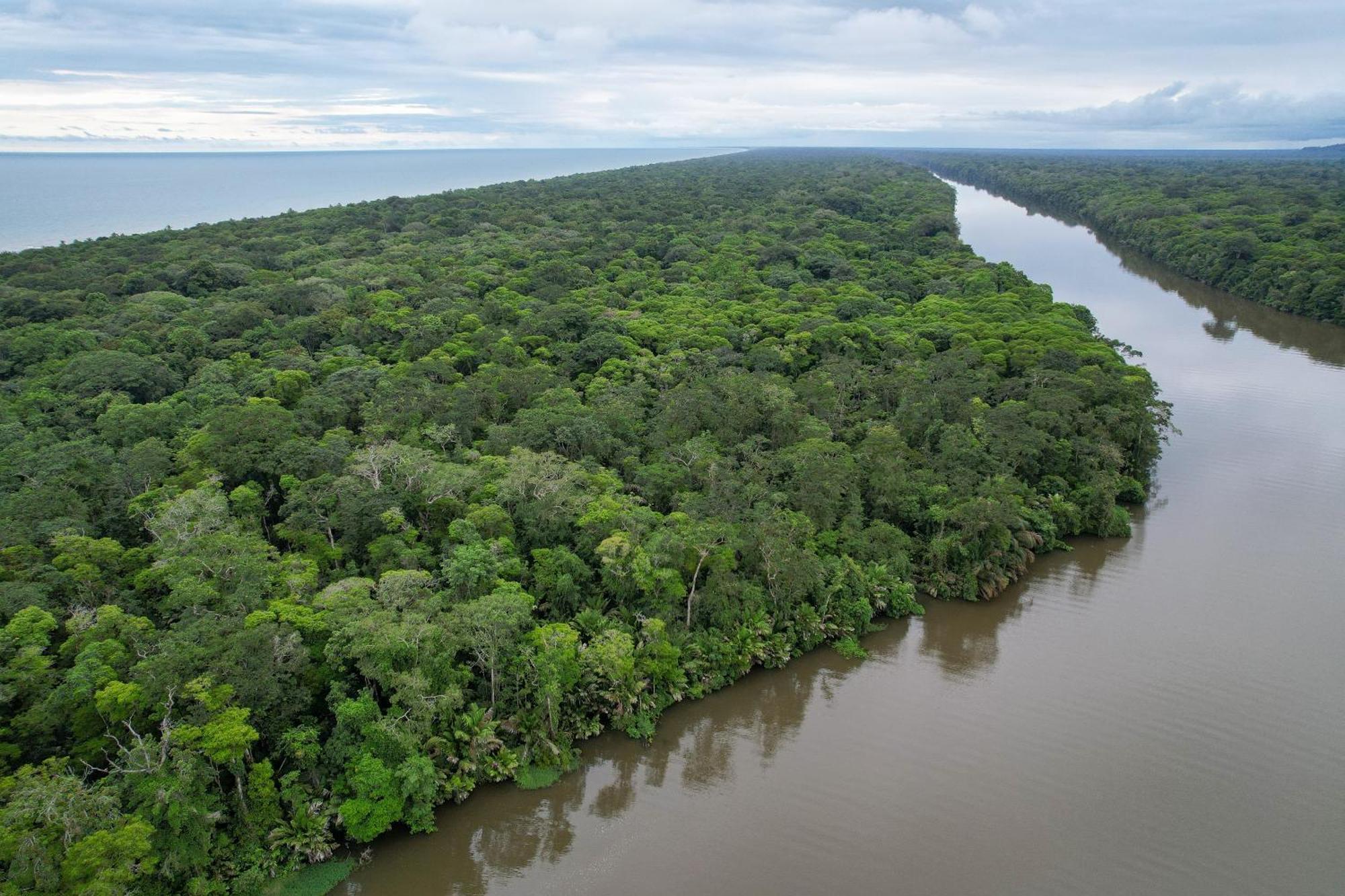 El Deseo Serendipity Tortuguero Bagian luar foto