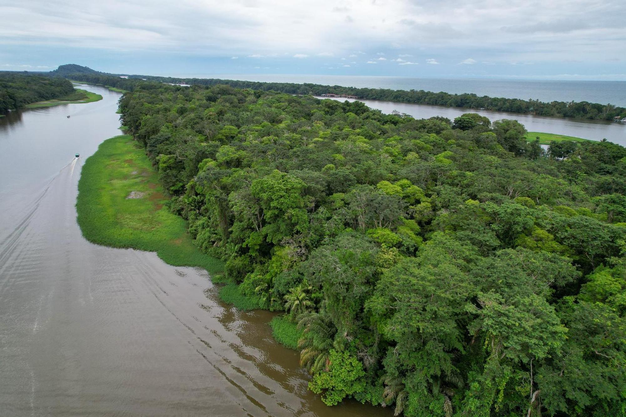 El Deseo Serendipity Tortuguero Bagian luar foto