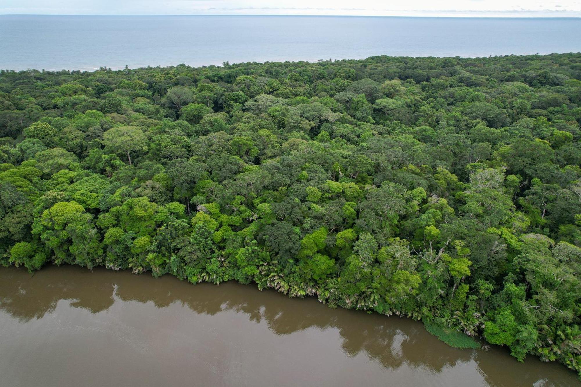 El Deseo Serendipity Tortuguero Bagian luar foto