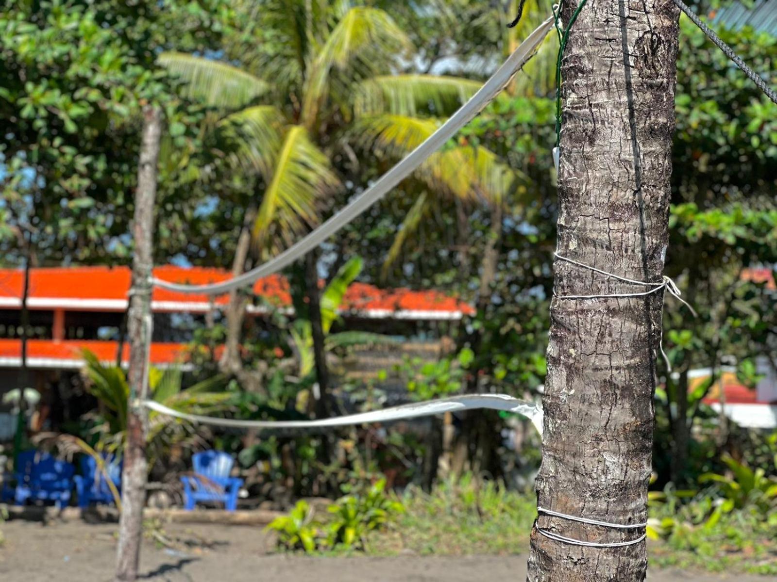 El Deseo Serendipity Tortuguero Bagian luar foto