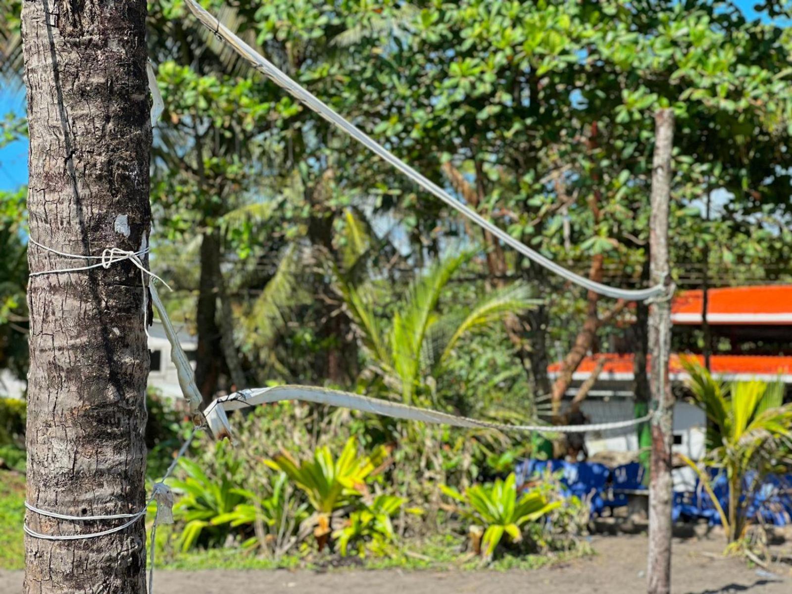 El Deseo Serendipity Tortuguero Bagian luar foto