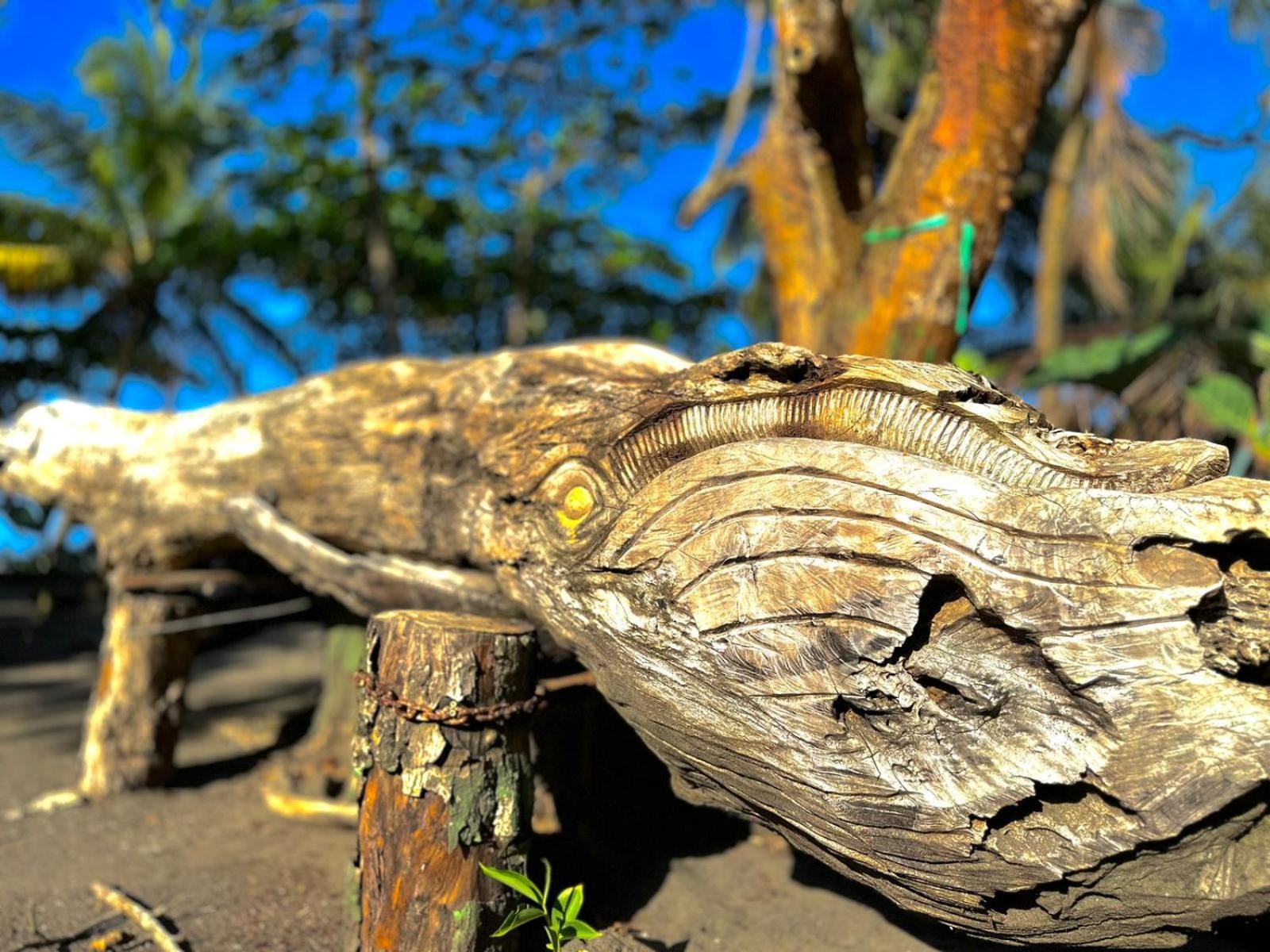 El Deseo Serendipity Tortuguero Bagian luar foto